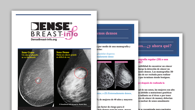 Folleto del Paciente/Patient Brochure | Dense Breast Info