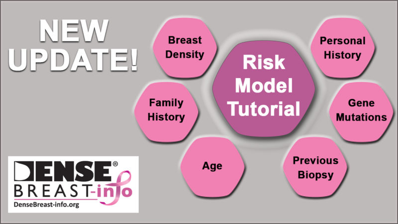 Risk Model Update & 2020 Recap | Dense Breast Info