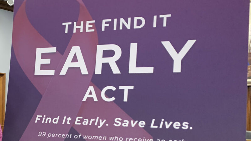 Federal Insurance Bill Re-introduced + News Efforts and Materials Abroad | Dense Breast Info