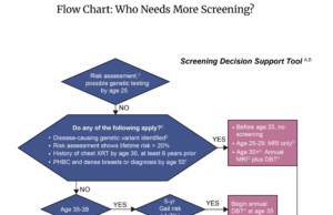decision making flow chart cropped