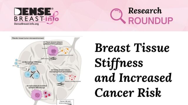 Could Breast Tissue Stiffness Help Explain the Increased Cancer Risk in Women with Dense Breasts? | Dense Breast Info